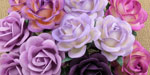 Wild Orchid Crafts 35mmTrellis Roses Mixed Purple/Lilac