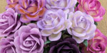 Wild Orchid Craft 40mm Trellis Roses Mixed Purple/Lilac