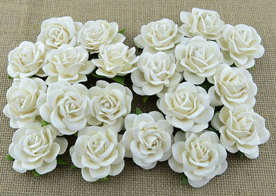 Wild Orchid Crafts 35mm Trellis Roses White 