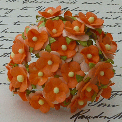 Wild Orchid Craft Sweetheart Blossoms 2-Tone Orange