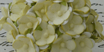 Wild Orchid Craft Sweetheart Blossoms 2-Tone Pale Yellow