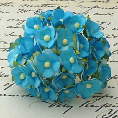Wild Orchid Craft Sweetheart Blossoms 2-Tone Turquoise