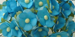 Wild Orchid Craft Sweetheart Blossoms 2-Tone Turquoise