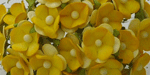 Wild Orchid Craft Sweetheart Blossoms 2-Tone Yellow