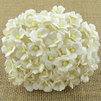Wild Orchid Craft Sweetheart Blossoms Ivory