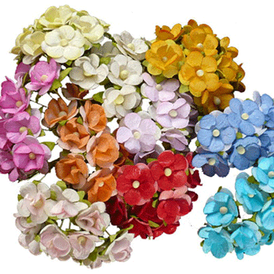 Wild Orchid Craft Sweetheart Blossoms Mixed Colors 