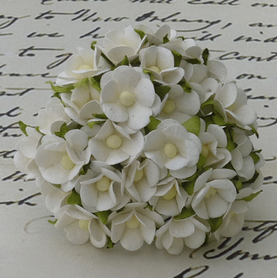 Wild Orchid Craft Sweetheart Blossoms White
