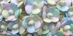 Wild Orchid Craft Miniature Sweetheart Blossoms Mixed Pastel Rainbow