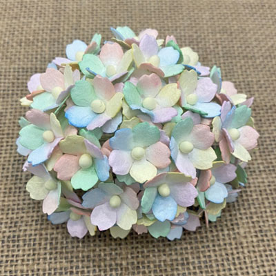 Wild Orchid Craft Sweetheart Blossoms Mixed Pastel Rainbow 