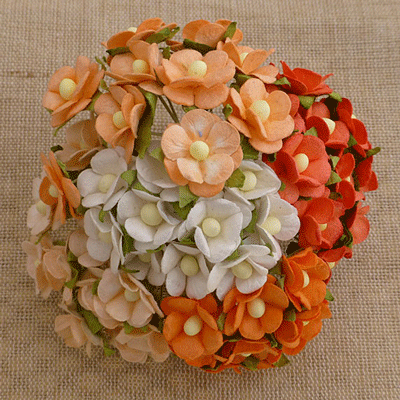 Wild Orchid Craft Sweetheart Blossoms Mixed Peach/Orange/White 
