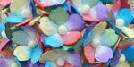 Wild Orchid Craft Sweetheart Blossoms Mixed Rainbow