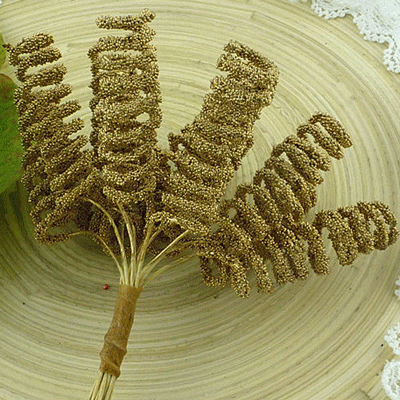 Wild Orchid Craft Spiral Stamens Gold