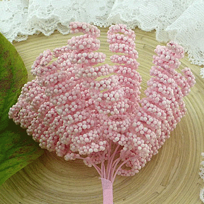 Wild Orchid Craft Spiral Stamens Pink