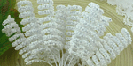 Wild Orchid Craft Spiral Stamens White RESTOCKED!