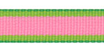 Passion Fruit Striped Grosgrain