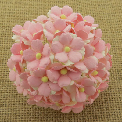 Wild Orchid Craft Sweetheart Blossoms 2-Tone Baby Pink