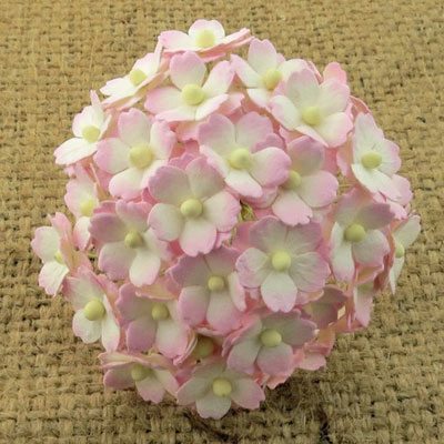 Wild Orchid Craft Sweetheart Blossoms 2-Tone Baby Pink/Ivory