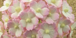 Wild Orchid Craft Sweetheart Blossoms 2-Tone Baby Pink/Ivory NEW COLOR!