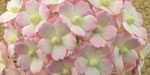 Wild Orchid Craft Sweetheart Blossoms 2-Tone Baby Pink/Ivory