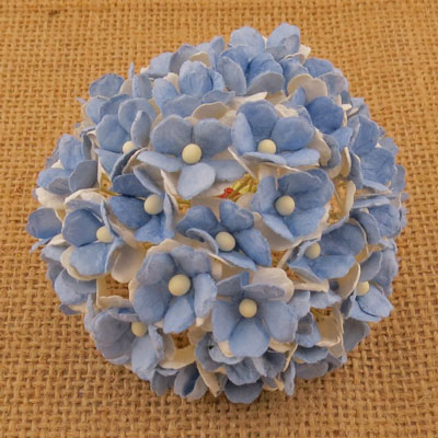 Wild Orchid Craft Sweetheart Blossoms 2-Tone Light Blue