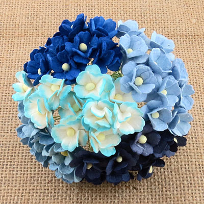 Wild Orchid Craft Sweetheart Blossoms Mixed Blue