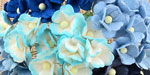 Wild Orchid Craft Sweetheart Blossoms Mixed Blue