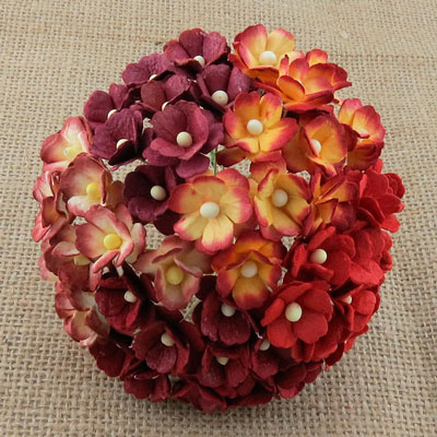 Wild Orchid Craft Sweetheart Blossoms Mixed Red