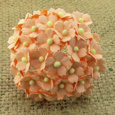 Wild Orchid Craft Sweetheart Blossoms Peach