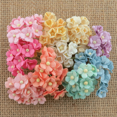 Wild Orchid Craft Miniature Sweetheart Blossoms Mixed Pastel RESTOCKED!