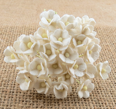 Wild Orchid Craft Miniature Sweetheart Blossoms White