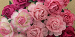 Wild Orchid Crafts 40mm Tea Roses Mixed Pink RESTOCKED!