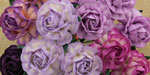 Wild Orchid Crafts 40mm Tea Roses Mixed Purple/Lilac