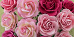Wild Orchid Crafts 35mmTrellis Roses Mixed Pink Tones 