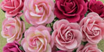 Wild Orchid Craft 40mm Trellis Roses Mixed Pink Tones 